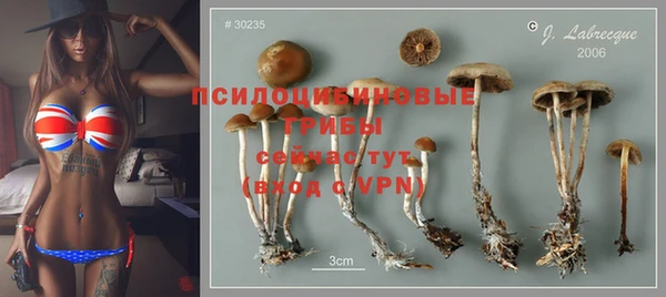 гидропоника Абаза