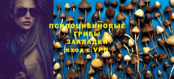 гидропоника Абаза