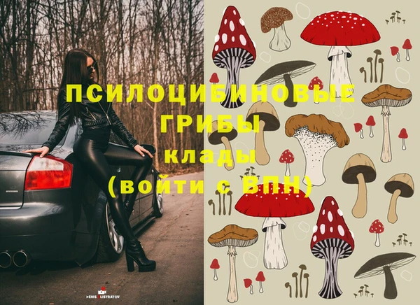 гидропоника Абаза