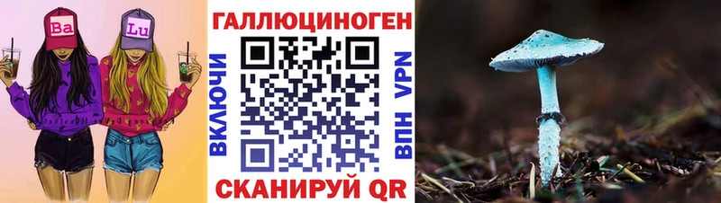 Псилоцибиновые грибы GOLDEN TEACHER  купить   Хасавюрт 